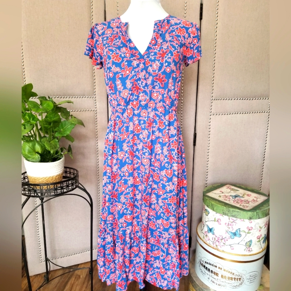 Gap Floral Blue and Red Women's Dress